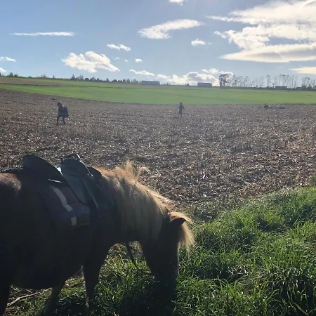 La Ferme D'epona Gasthof