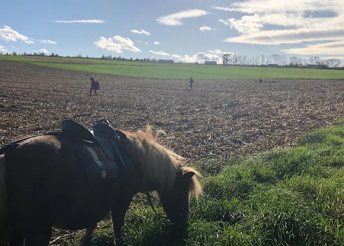 La Ferme D'epona בית הארחה